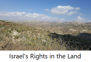 Israels-Rights 2